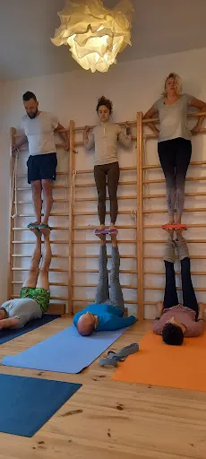 Szkoła Jogi Zielona Góra - Organika